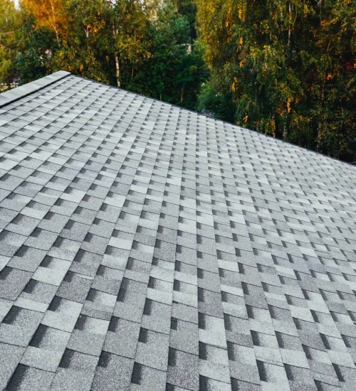 Maintaining Your Roof